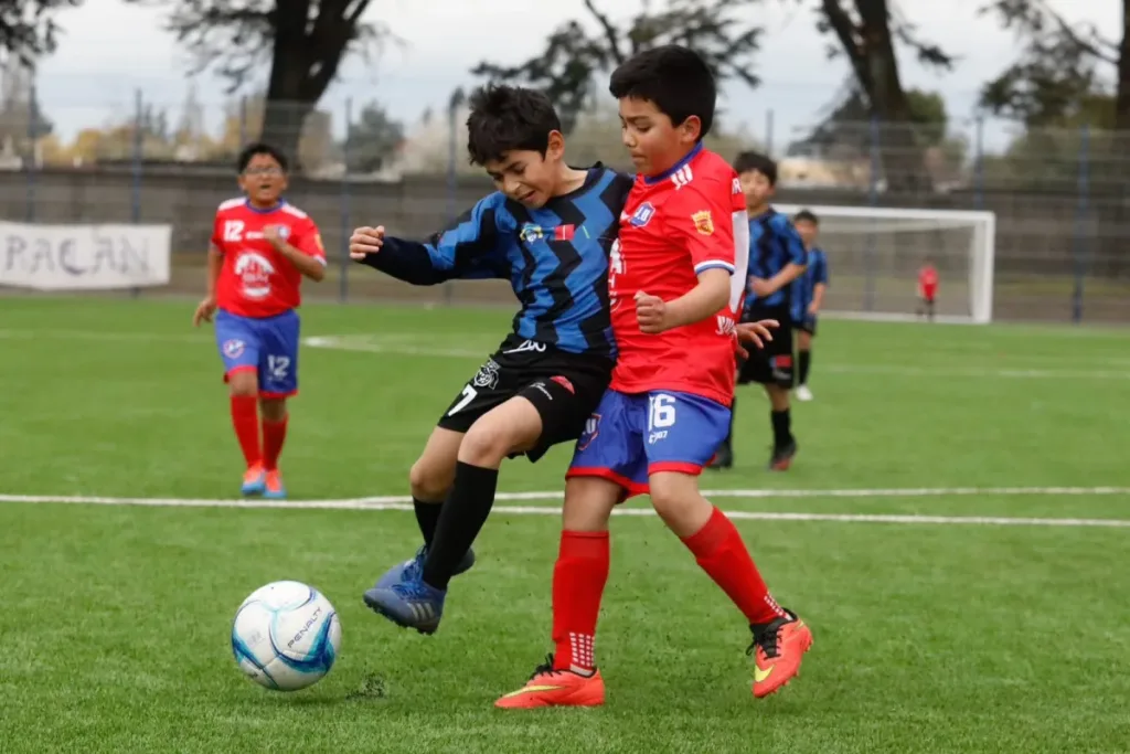 Escalada de Violencia en Fútbol Amateur del Biobío: Autoridades Buscan Frenar Agresiones en Canchas