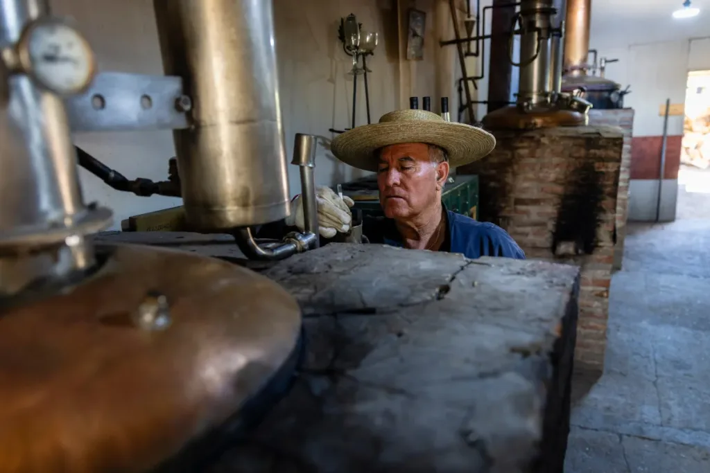 Pisco Chileno: El Corazón del Valle del Elqui y Huasco, Denominación de Origen y Orgullo Nacional