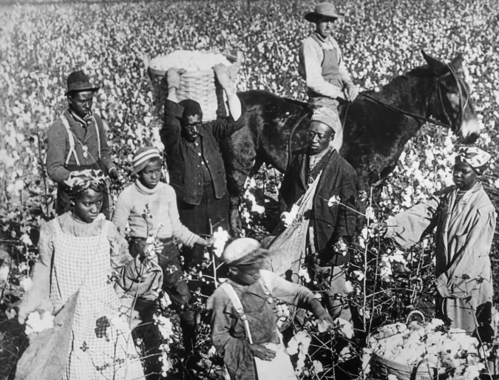 La Abolición Incompleta: El Legado Persistente de la Esclavitud y la Deuda Histórica