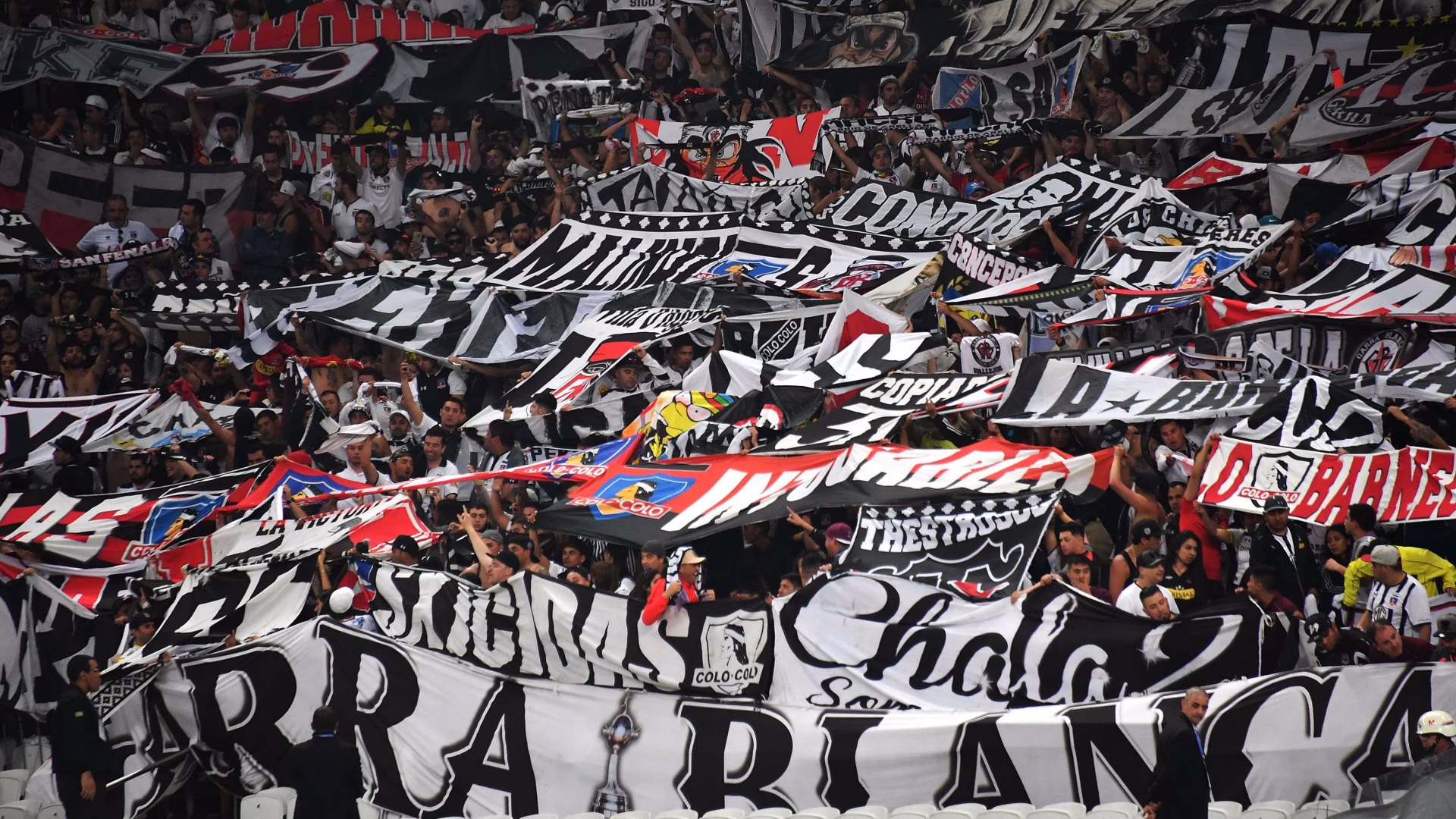 Colo Colo ante su obligación continental: ‘Si no avanzamos es un fracaso’, la sentencia del cuerpo técnico de Ortiz
