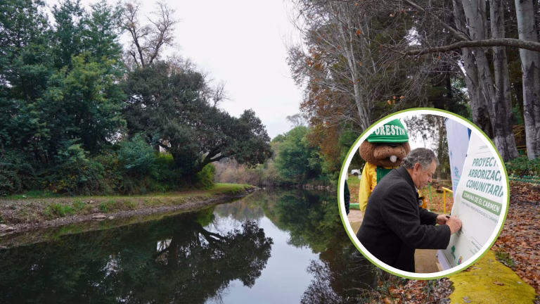El Carmen se blinda con árboles nativos: El plan de CONAF para asegurar el futuro de su Balneario Municipal frente a la crisis climática.
