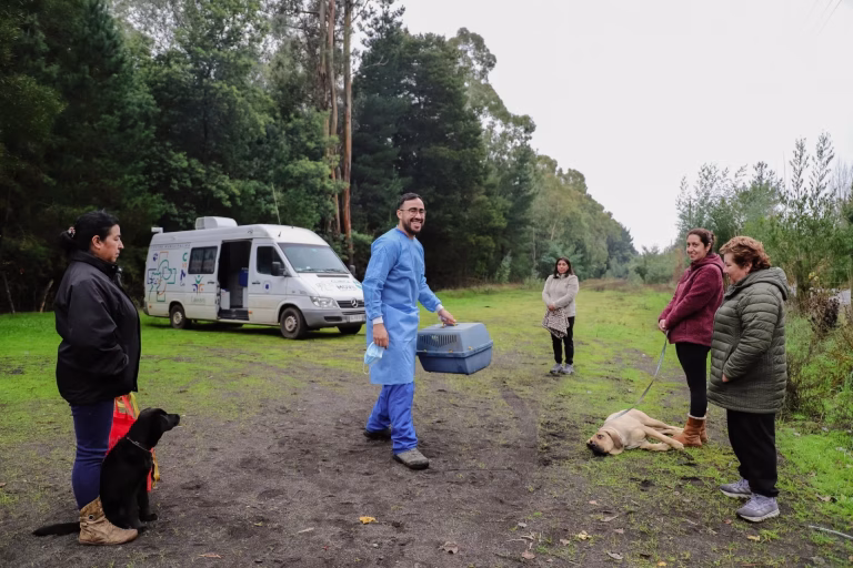 Cabrero, Eje de Bienestar Animal: Más de 5.000 Atenciones Veterinarias en 2025 Marcan Hito Regional