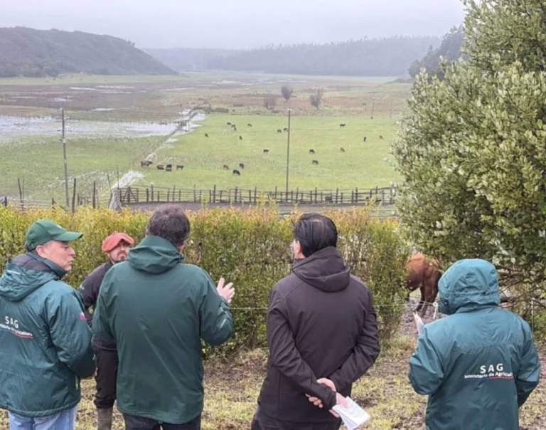 Autoridades de Agricultura y SAG supervisan en terreno programa de trazabilidad animal en Arauco