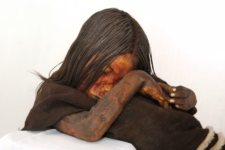 Estudio chileno revela causa de muerte del Niño del Plomo: Fue un golpe craneal en ritual inca