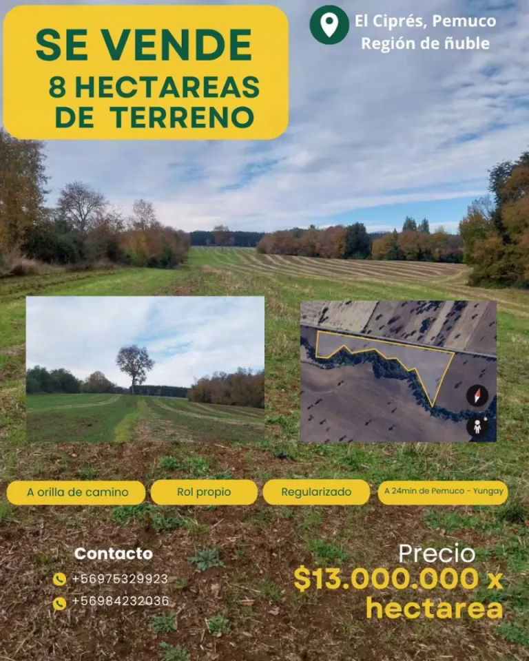 Oportunidad de Inversión en Pemuco: Ponen a la venta parcela de 8 hectáreas por $104 millones