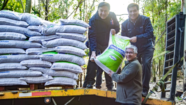 Alto Biobío: Inician entrega de 300 toneladas de alimento para 1.200 ganaderos afectados por nevazones