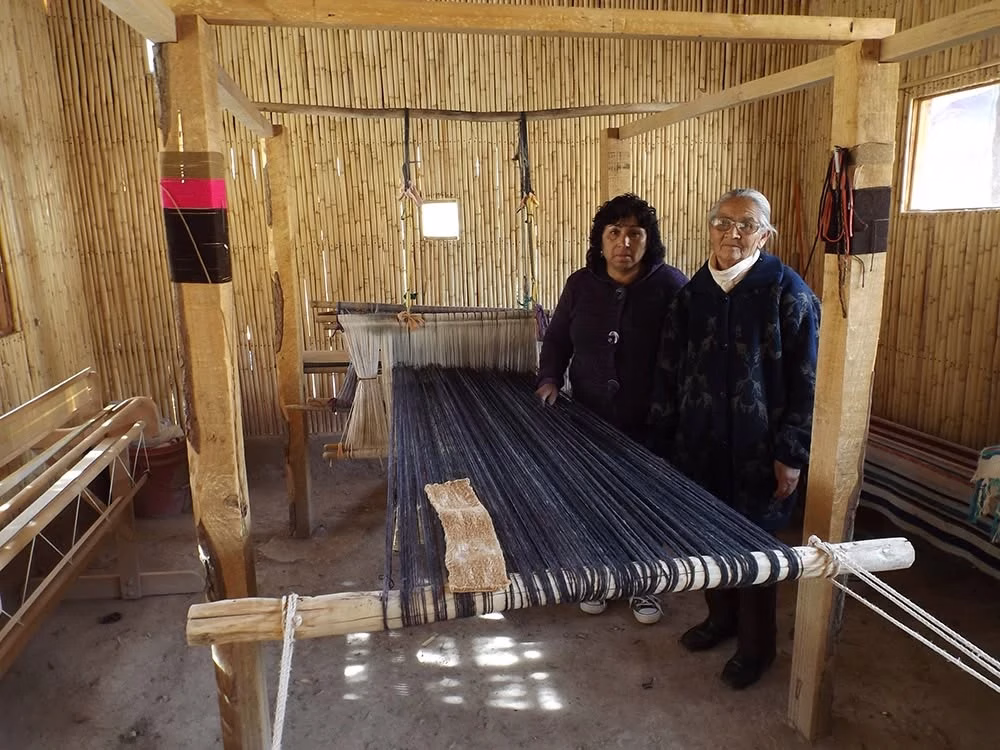 Ministerio de las Culturas reconoce la trayectoria de Emeteria …