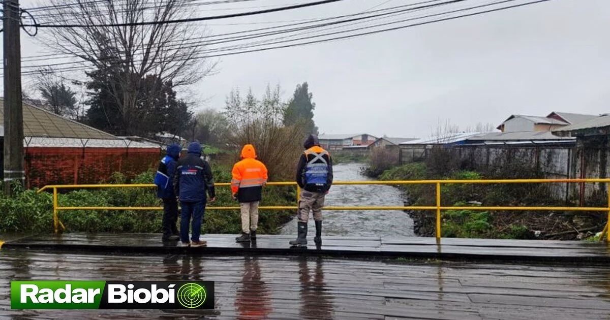 Sistema frontal en la provincia de Biobío deja seis lesionados por …