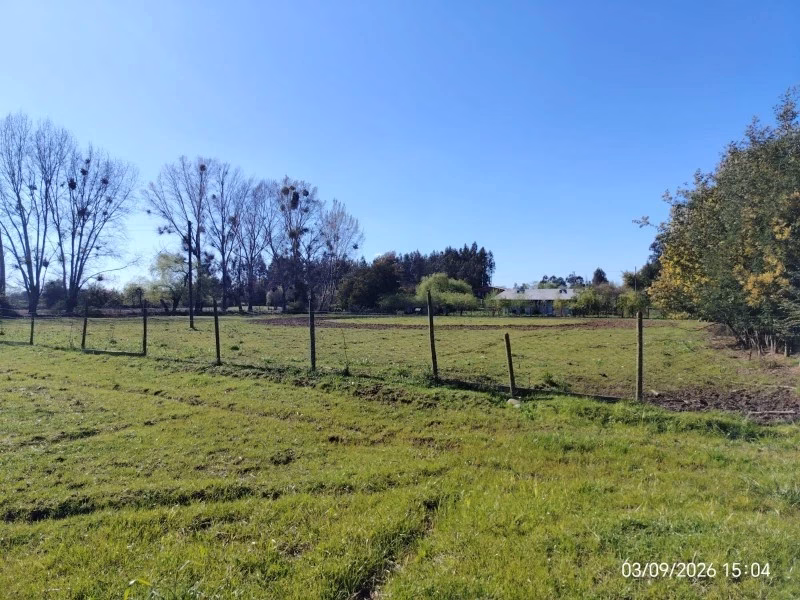 Oportunidad de Terreno en Sector Cerrillos, Longaví