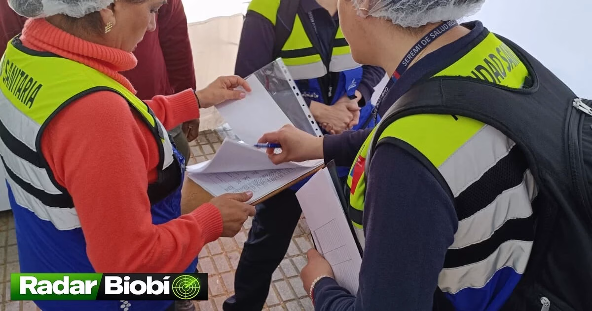 Provincia de Biobío decomisó más de cuatro toneladas de carne …