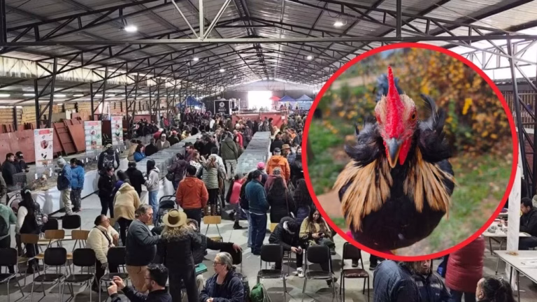 Expo Cabrero 2026 prepara una jornada dedicada a las aves de …