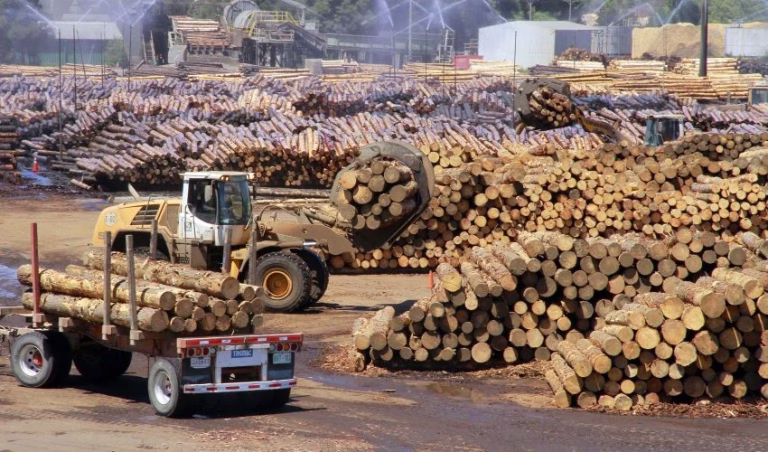 Biobío: proyectan 50 mil beneficiarios del Subsidio Unificado al …