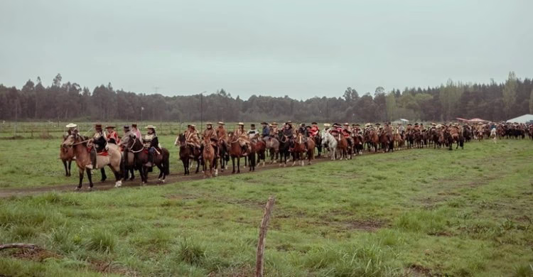 Cabalgata familiar de Cabrero cumplió su edición 2026 con …