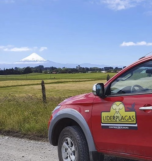 Fumigación Región del Biobío » LiderPlagas® Desde 2005