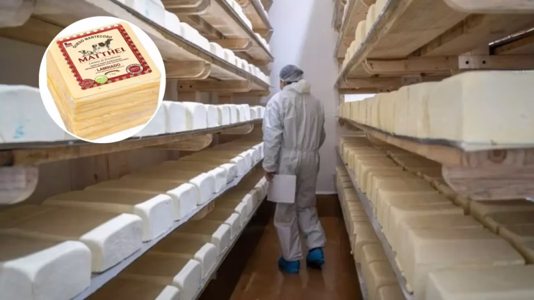 Decretan cierre temporal de planta Lácteos Matthei en Yumbel por reiterada detección de Listeria