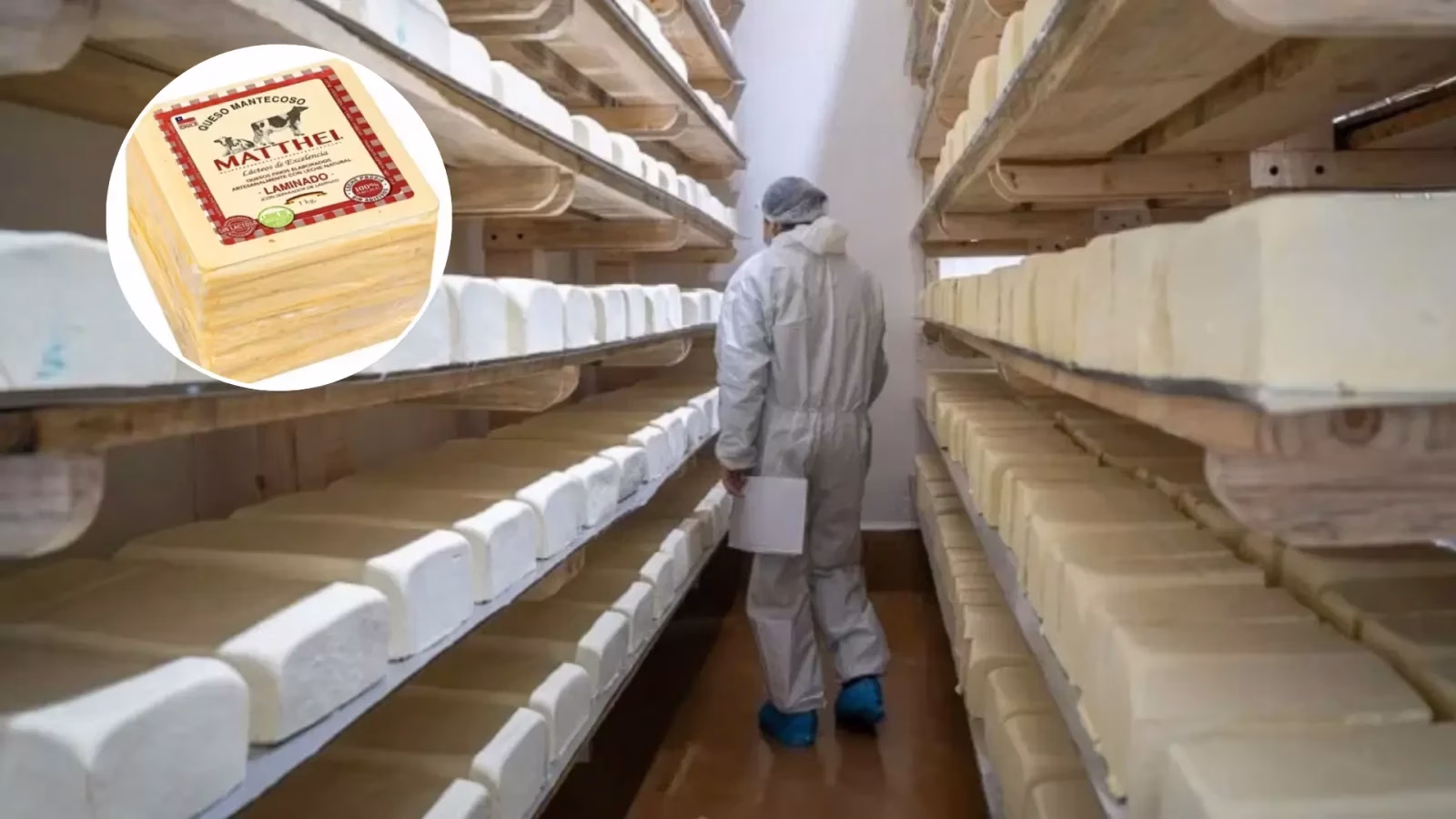 Decretan cierre temporal de planta Lácteos Matthei en Yumbel por reiterada detección de Listeria