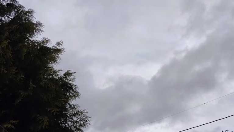 Región del Biobío en alerta por nubes con características tornádicas y fuertes vientos hasta esta noche