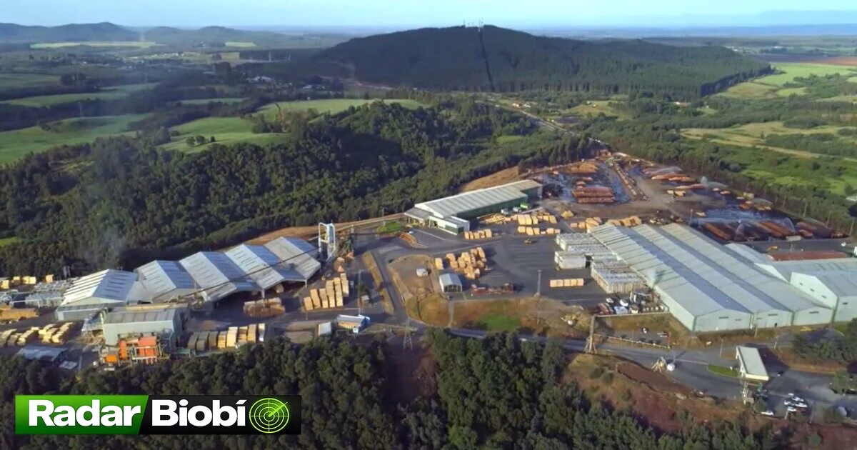 CMPC invierte más de US$90 millones en plantas de Los Ángeles y Mulchén para modernizar su producción