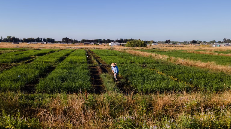 Chile apuesta por el futuro rural: Inversión en infraestructura y conectividad para potenciar territorios