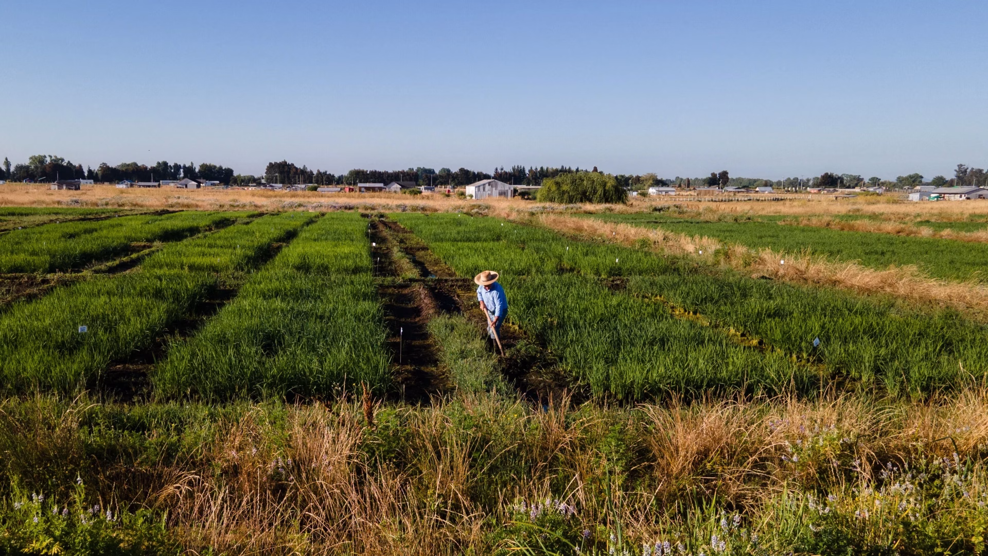Chile apuesta por el futuro rural: Inversión en infraestructura y conectividad para potenciar territorios
