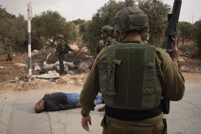 Ataque en Cisjordania: Colonos agreden a comunidad palestina y a fotógrafa durante cosecha de aceitunas